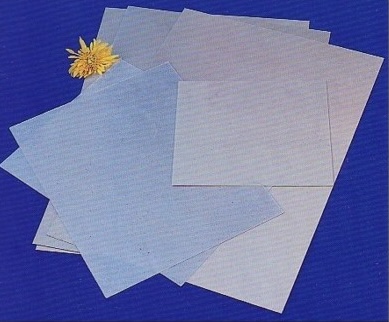 Rigid Mica Paper Plate