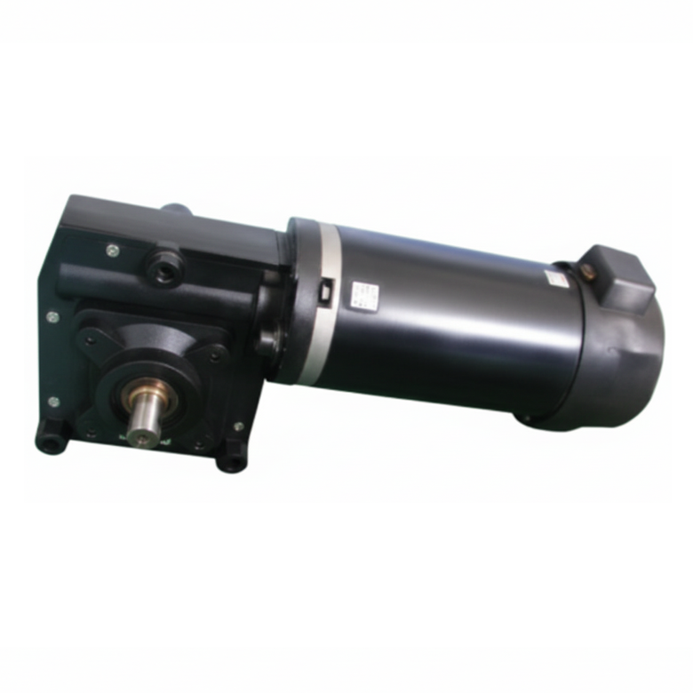 Worm Gear DC Motor